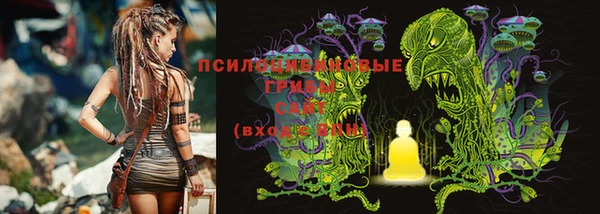 сатива Абдулино