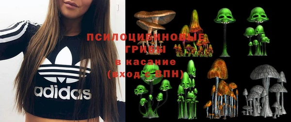 стаф Наволоки
