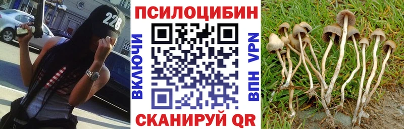 Галлюциногенные грибы ЛСД  Ильский 
